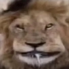 S2l